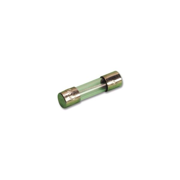 1690: Fuses (pack of 10)